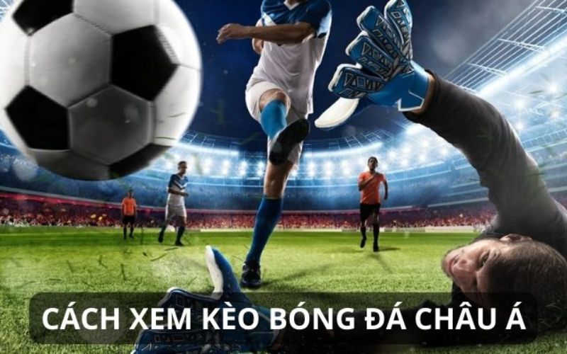 Cách xem kèo châu Á thường gặp trong trận