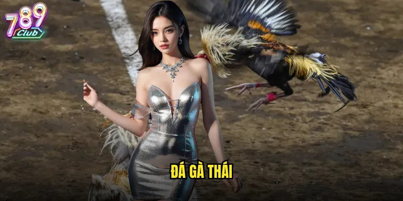 đá gà Thái