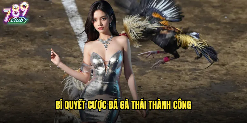 Bí quyết cược đá gà Thái thành công