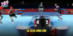 cá cược bóng bàn