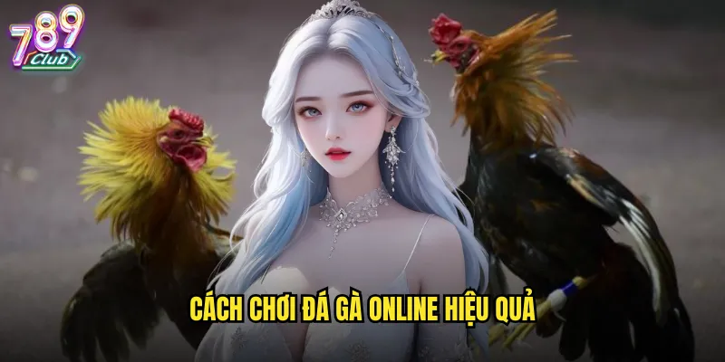 Đá gà online 789club trải nghiệm cá cược đỉnh cao từ xa 3 Cách chơi đá gà online hiệu quả