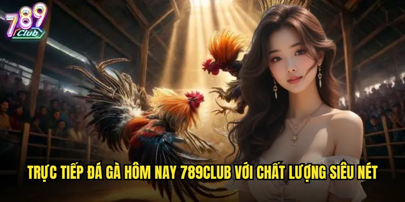 Trực tiếp đá gà hôm nay 789club với chất lượng siêu nét