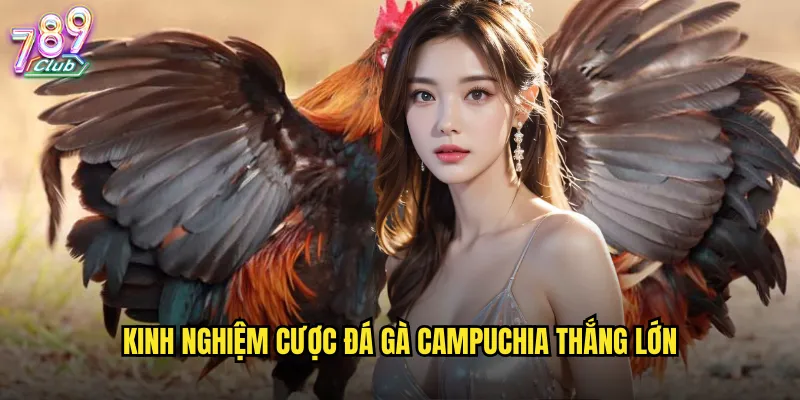 Kinh nghiệm cược đá gà Campuchia thắng lớn