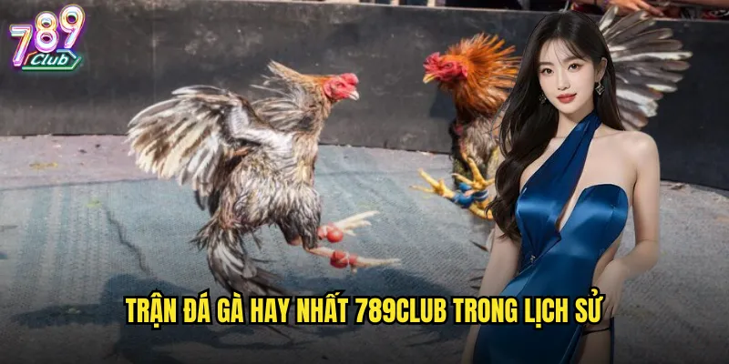 Trận đá gà hay nhất 789club trong lịch sử