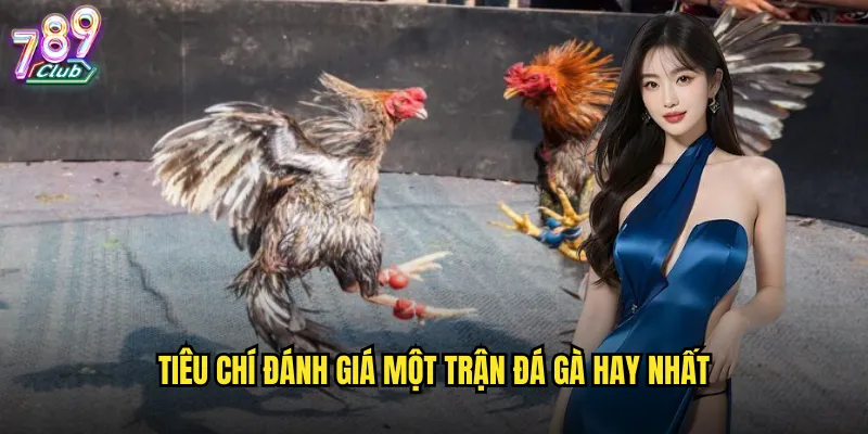 Tiêu chí đánh giá một trận đá gà hay nhất