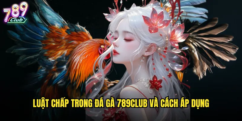 Luật chấp trong đá gà 789club hiểu rõ để cược chuẩn xác 2 Luật chấp trong đá gà 789club và cách áp dụng