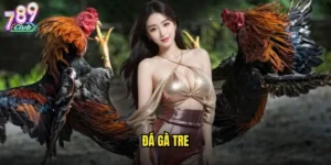 đá gà tre