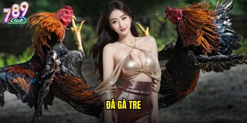 đá gà tre