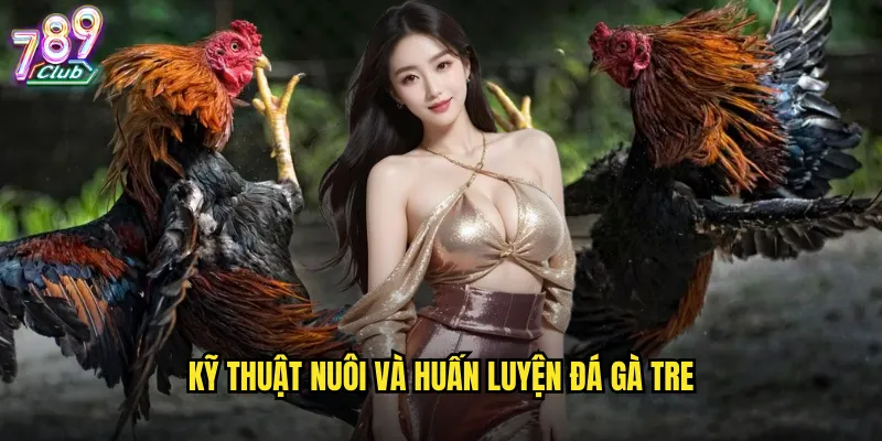 Kỹ thuật nuôi và huấn luyện đá gà tre