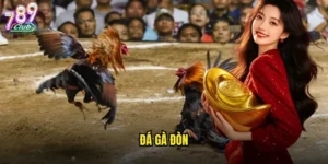 Đá gà đòn