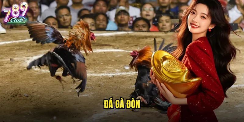 Đá gà đòn