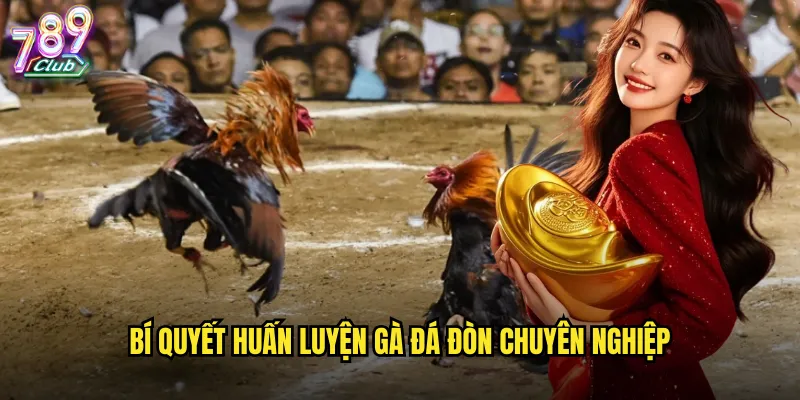 Bí quyết huấn luyện gà đá đòn chuyên nghiệp