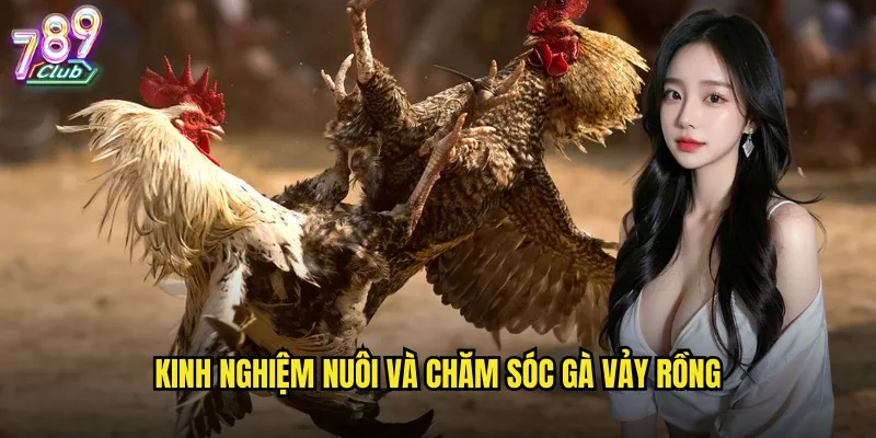 Kinh nghiệm nuôi và chăm sóc gà vảy rồng