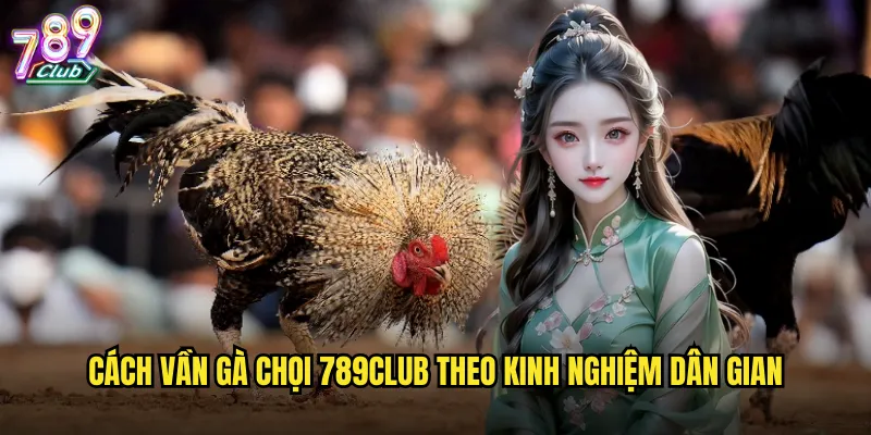 Cách vần gà chọi 789club theo kinh nghiệm dân gian