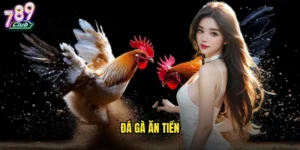 đá gà ăn tiền