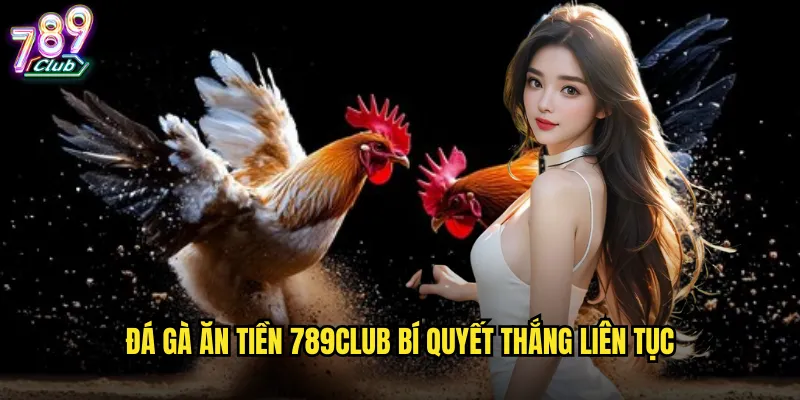 Đá gà ăn tiền 789club bí quyết thắng liên tục