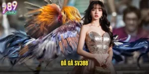 đá gà SV388