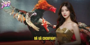 đá gà Cockfight