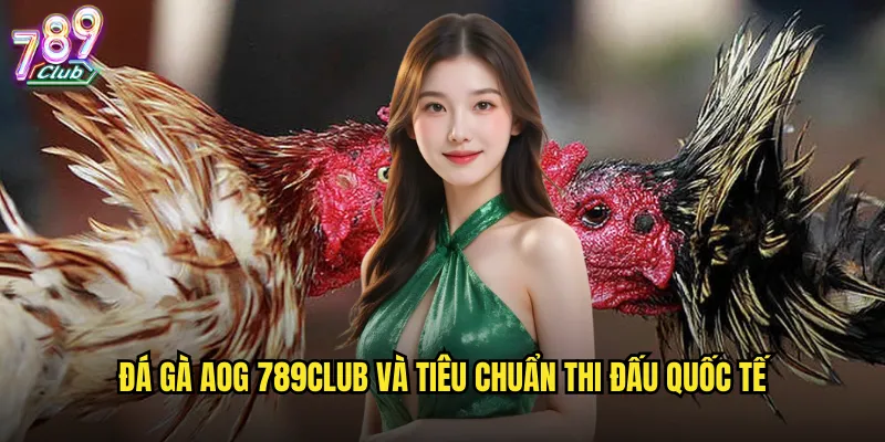 Đá gà AOG 789club và tiêu chuẩn thi đấu quốc tế