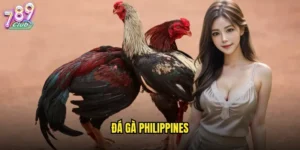 đá gà Philippines