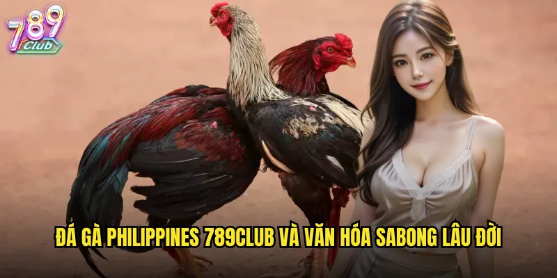 Đá gà Philippines 789club và văn hóa sabong lâu đời