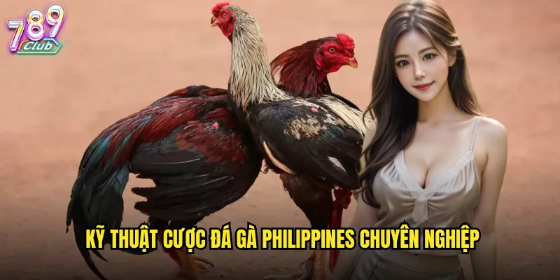 Kỹ thuật cược đá gà Philippines chuyên nghiệp